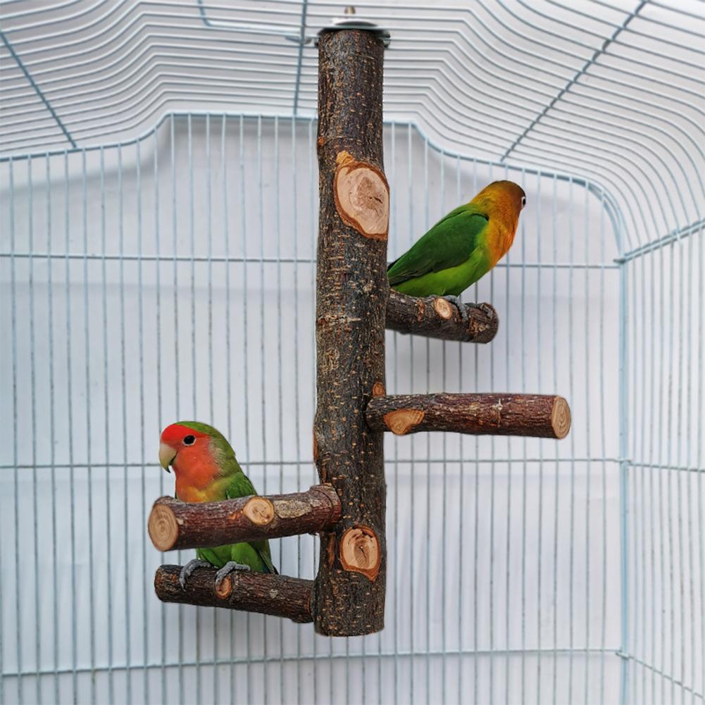 Pet Parrot Stand Solid Wood Standing Stick