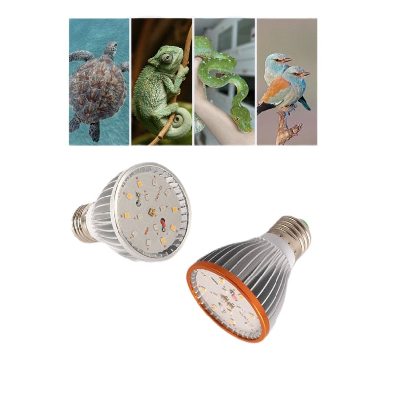 LED Reptile Light UVA + UVB Turtle Basking Platform