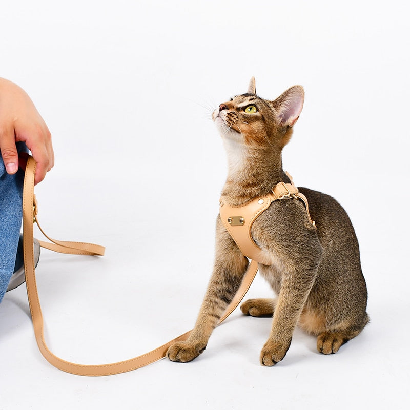 Loudik Luxury Custom Cat Harness