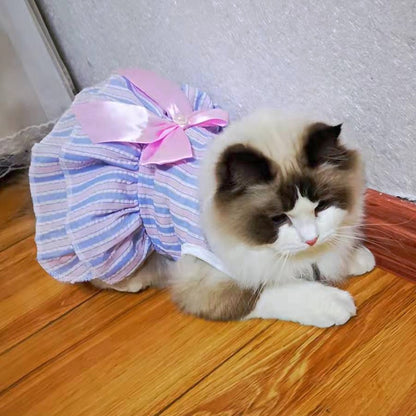 Cat Princess Dress