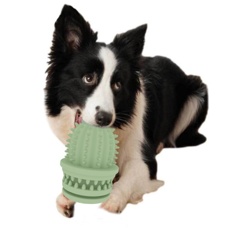 TPR Dogs Rubber Resistance to Bite Toy
