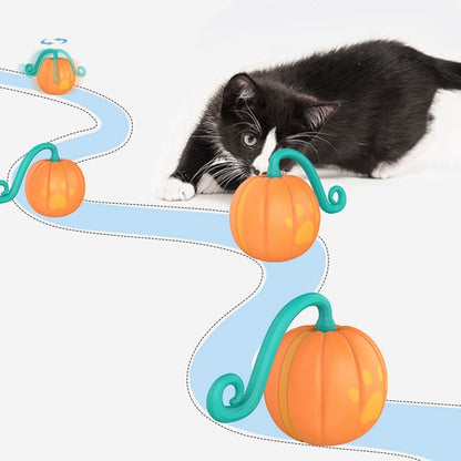 Interactive Cat Toys