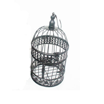 Iron Bird Cage Iron Bird Cage