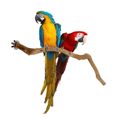 Natural Parrot Perch Bird Stand Tree