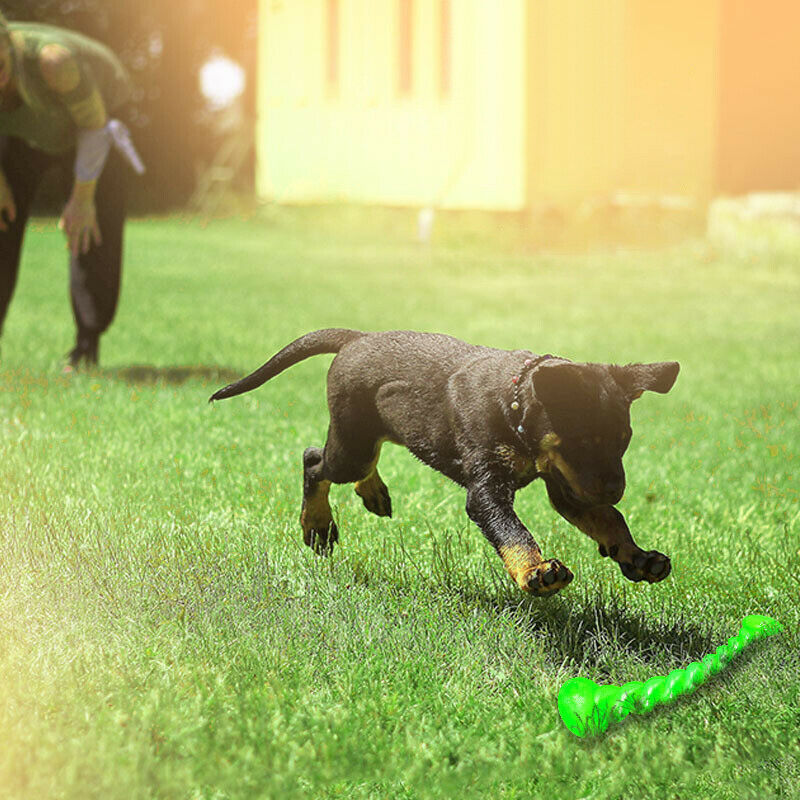 Pet Dog Training Interactive Toy