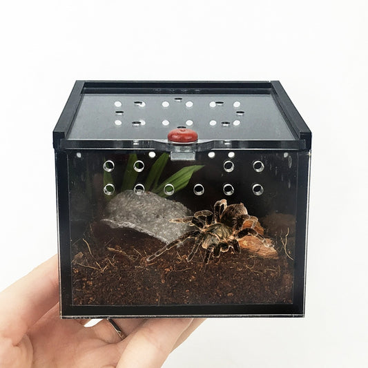 Spider Box Crawler Pet Feeding Palace