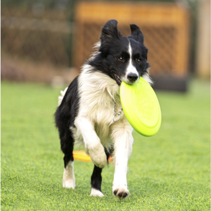 Dog Frisbee Pet Interactive Toy Pet Frisbee Floating Bite Resistance Recovery Training