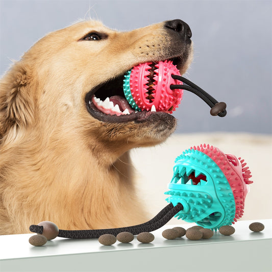 Dog Toys Interactive Bite Resist Snack Ball