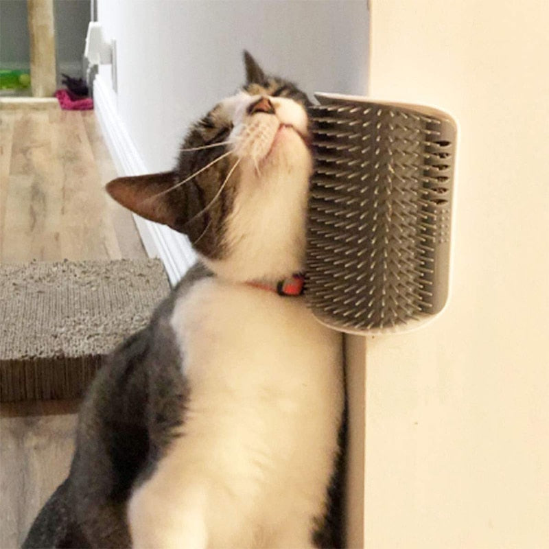 Pet Brush Comb Play Cat Toy