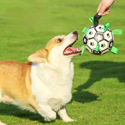 Dog Training Interactive Football Toys