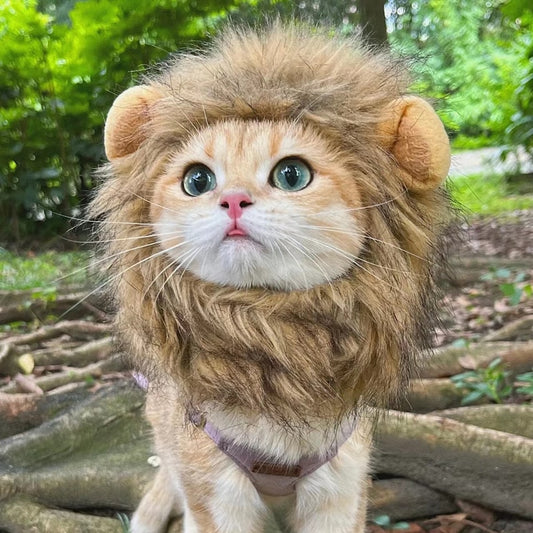 Cute Lion Mane Cat Wig Hat Funny Pets Clothes