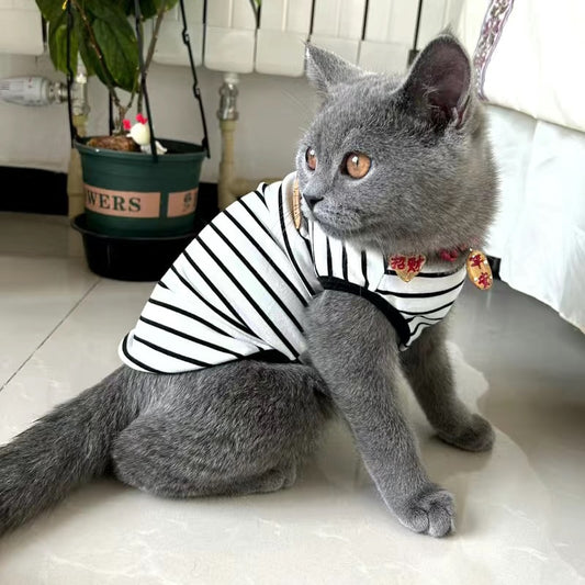 Pet Sleeveless Clothes For Garfield Kitten