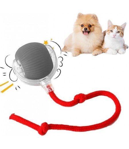 Chewie Viral Rolling Ball,Interactive Cat Ball Toy,Chewie Ball For Dogs,Smart Automatic Rolling Pet Ball, With Usb Charging (1Ball Grey+2Rops Red & Grey)
