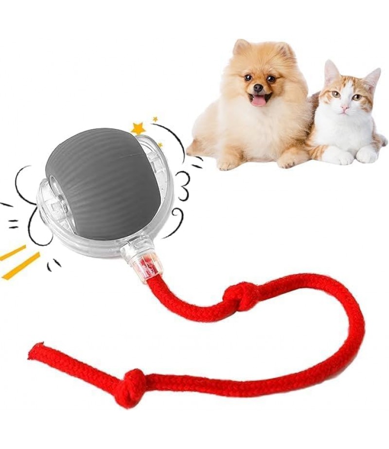 Chewie Viral Rolling Ball,Interactive Cat Ball Toy,Chewie Ball For Dogs,Smart Automatic Rolling Pet Ball, With Usb Charging (1Ball Grey+2Rops Red & Grey)
