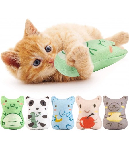Sunscreen 5 Pack Catnip Toys, Catnip Toy Pillow, Interactive Catnip Filled Kitten Toy, Plush Cat Chew Toys, Realistic Cute, Soft and Durable, Suitable