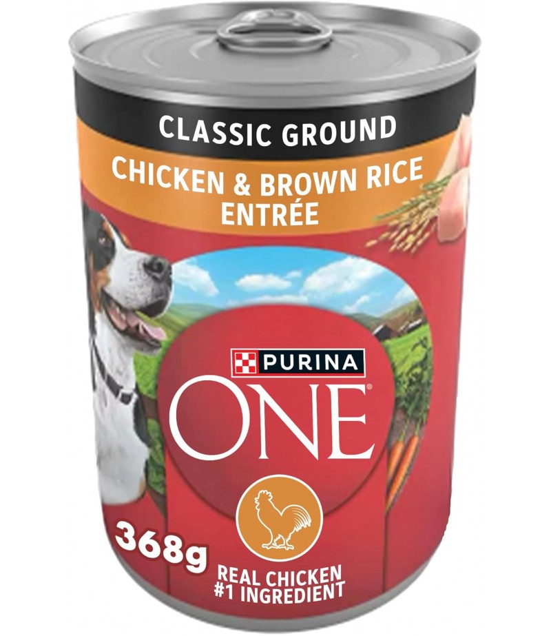Purina ONE SmartBlend Classic Ground Wet Dog Food Chicken & Brown Rice Entrée (368grams Can)
